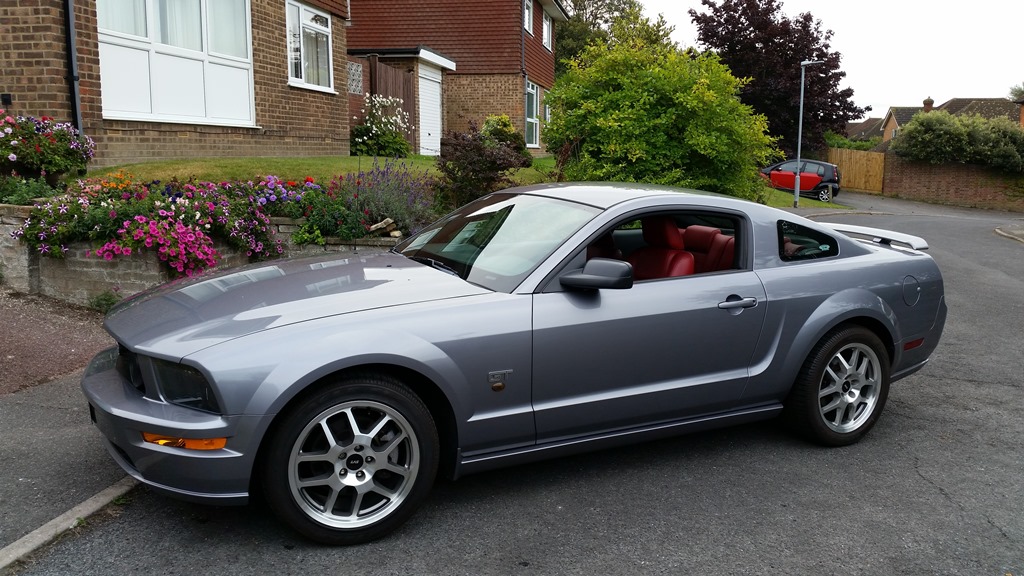 My Mustang.jpg