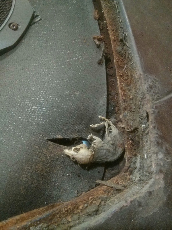 barn find.jpg