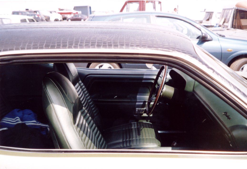 Gator-roof2.jpg