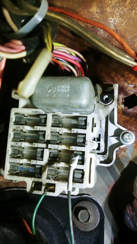 20201208_152423.jpg