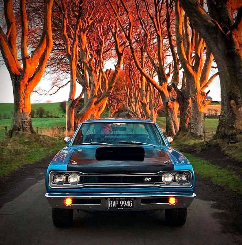 Coronet.jpg