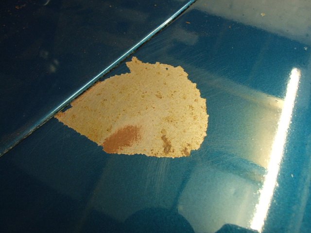DSCF6885.JPG