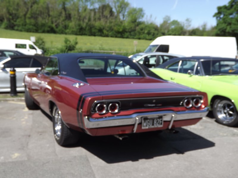 DSCF8694.JPG