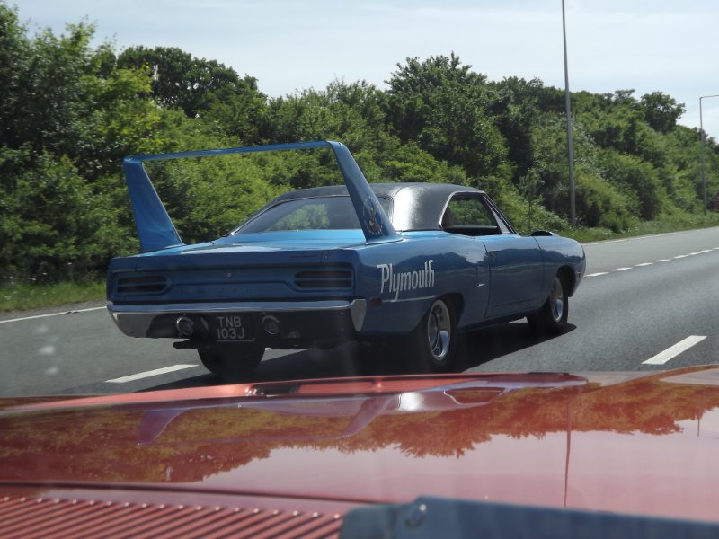 DSCF8801.JPG