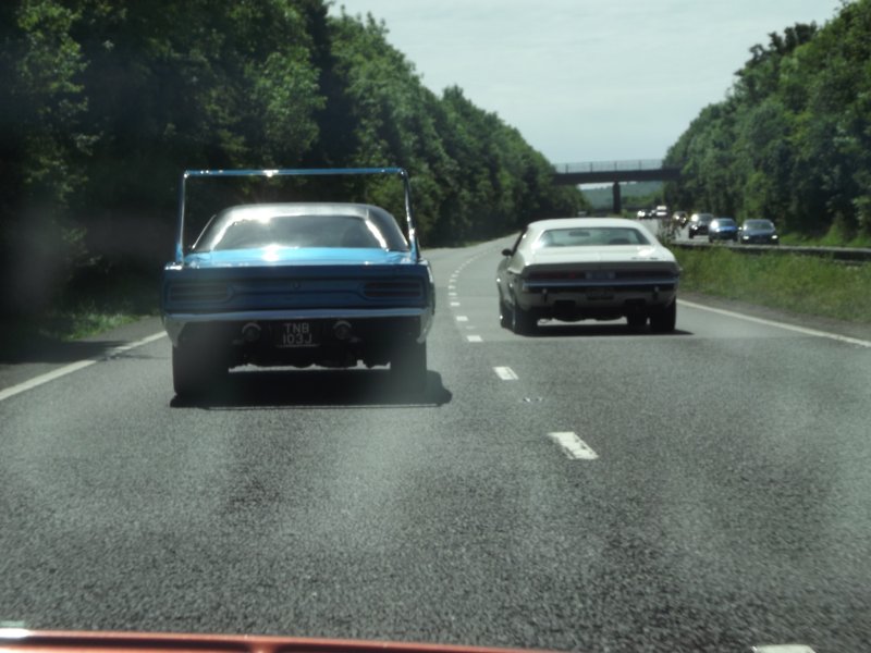 DSCF8806.JPG