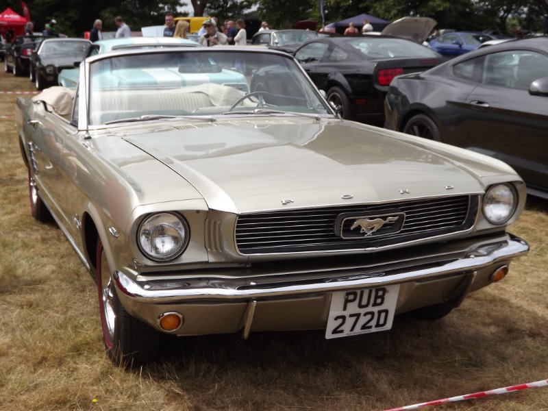 DSCF9275.JPG