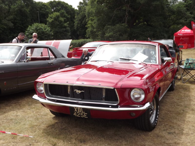 DSCF9295.JPG