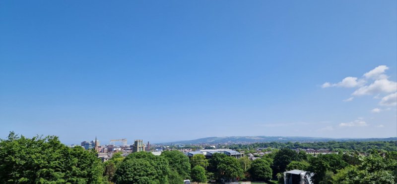 MicrosoftTeams-image (15) copy.jpg