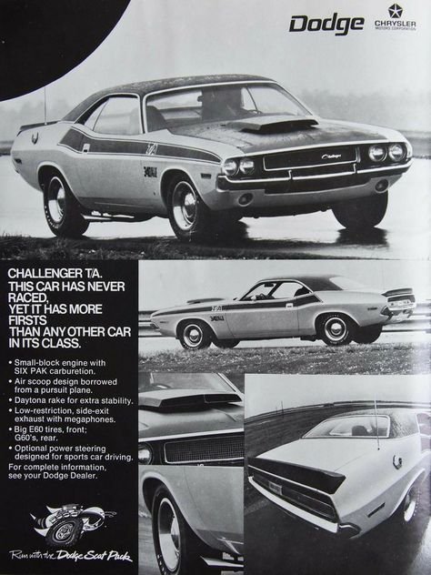 c1975da698a38222a1b39d704108f122.jpg