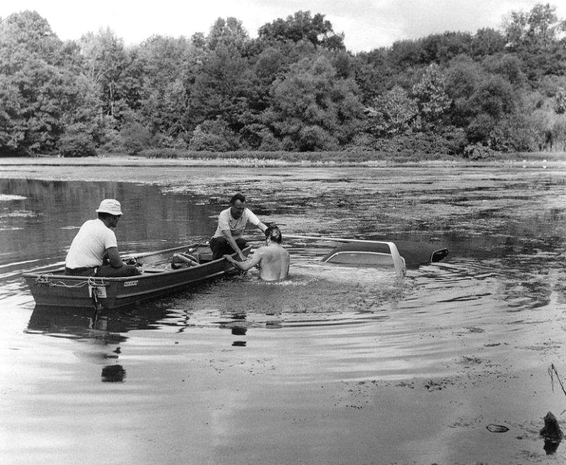 Is it a bird. Is it a fish.jpg