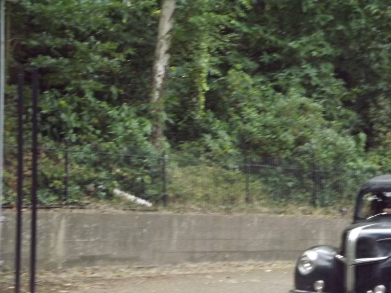 DSCF5307.JPG