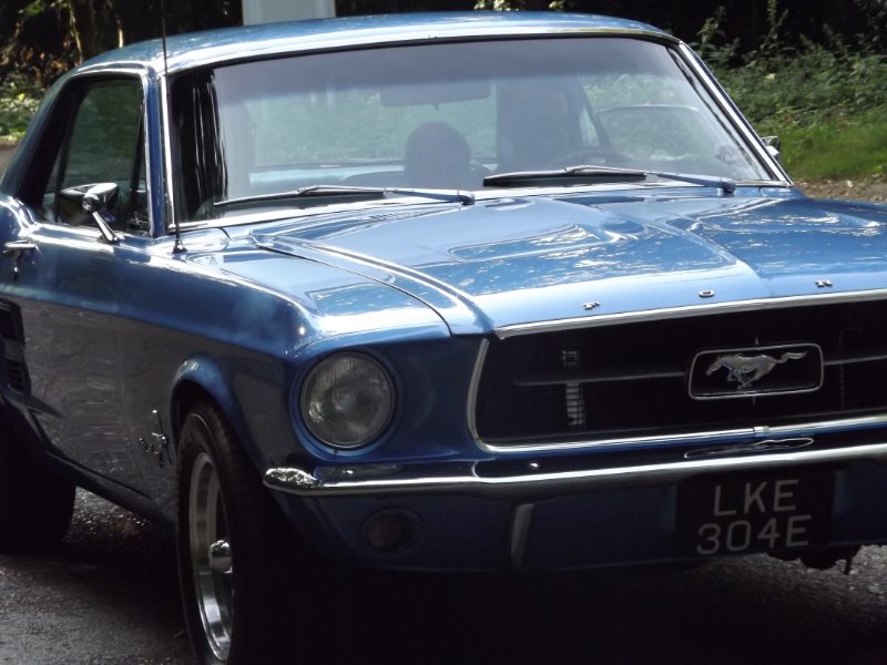 DSCF5361.JPG