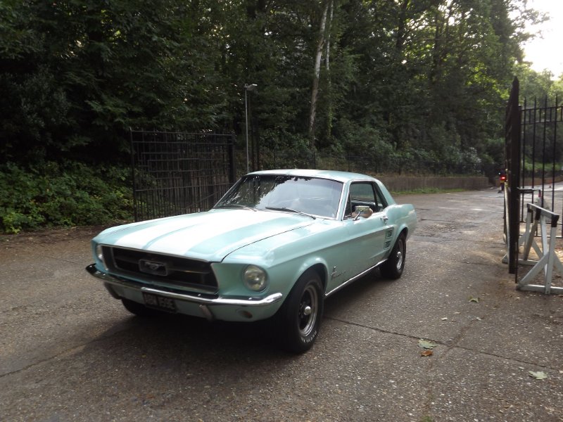 DSCF5408.JPG