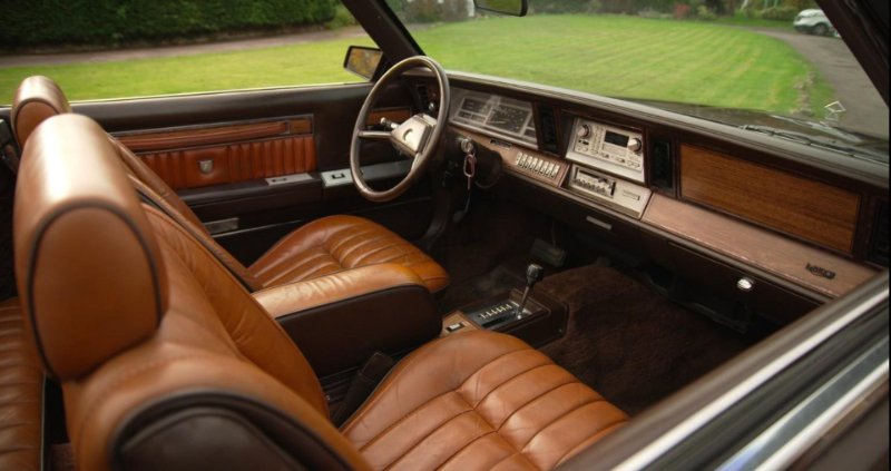Hank-interior copy.jpg