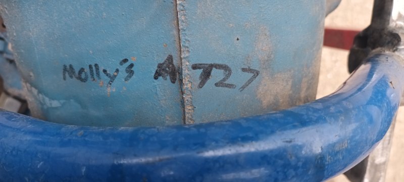 20260516_171904.jpg