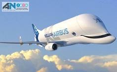BELUGA.jpg