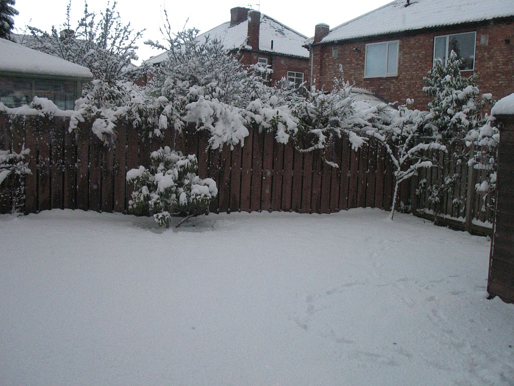 004.jpg