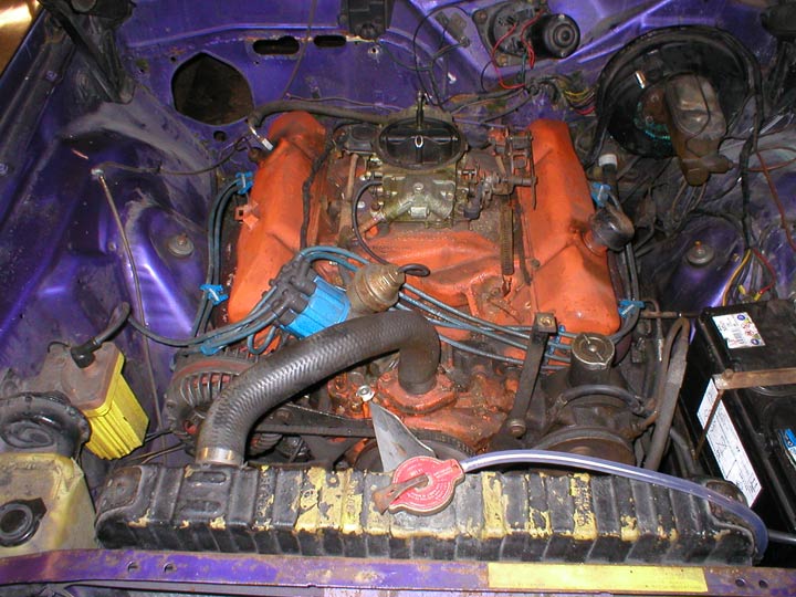 Needs a little pizazz underhood so we bought this...