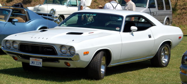 DSC_0089a.jpg