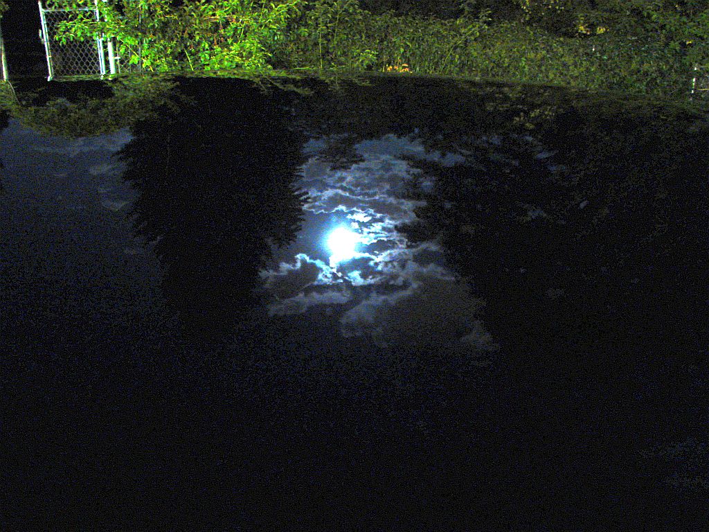 DSC06889full moon.jpg