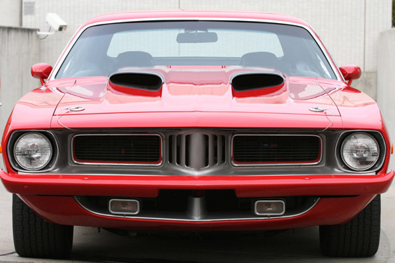 big scoops cuda.jpg