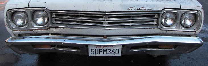 roadrunner front.jpg