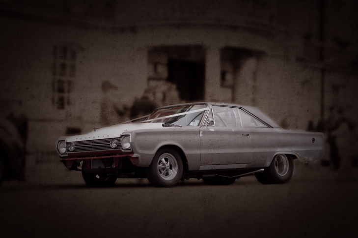 Jaspers Belve pic small.jpg