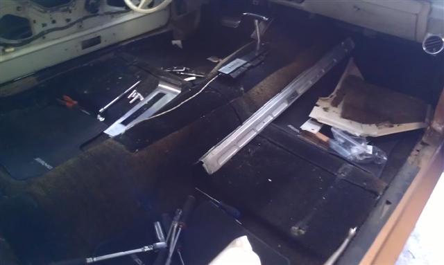 IMAG1450 (Small).jpg