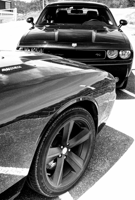 DSC_0139b (434x640).jpg