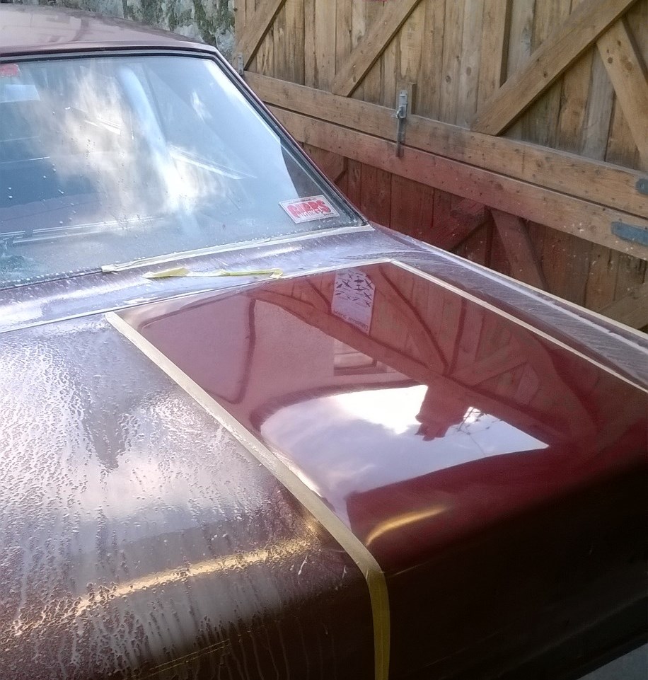 Buffing trunk 01.jpg
