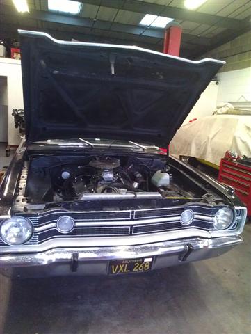 IMAG2445 (Small).jpg