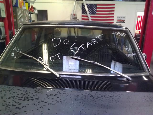 IMAG2447 (Small) (2).jpg