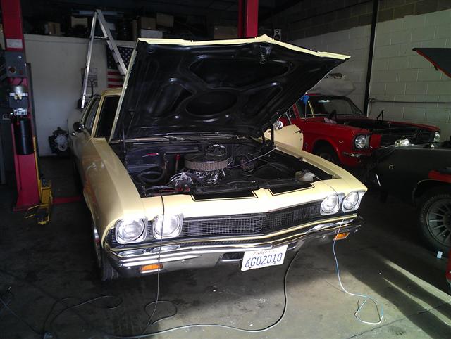 IMAG2909 (Small).jpg